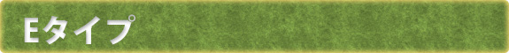 Eタイプ