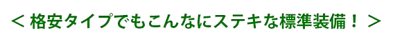 格安タイプでもこんなにステキな標準装備!