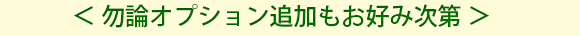 勿論オプション追加もお好み次第