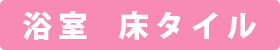浴室  床タイル