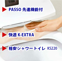 PASSOi@\t K K-EXTRA iV[gC KS220